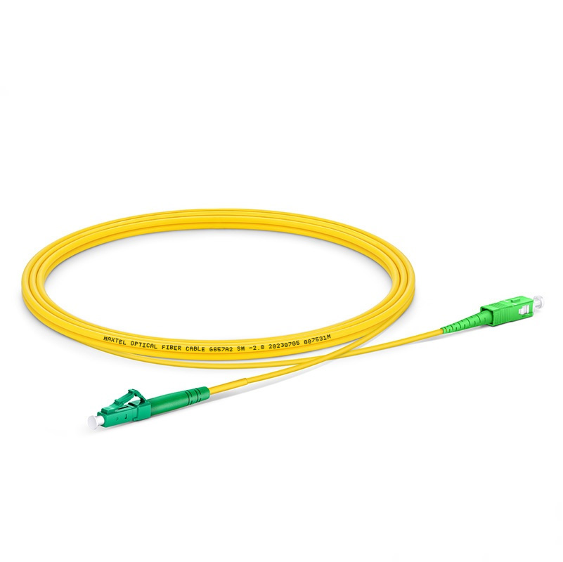 1PC-SM-SCALCASX-xM