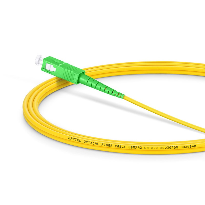 2PC-SM-SCALCASX-xM