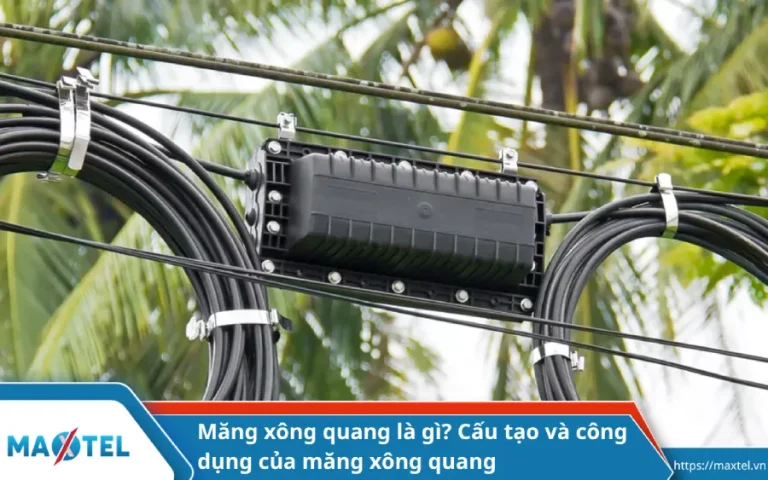 Măng xông quang là gì? Cấu tạo và công dụng của măng xông quang