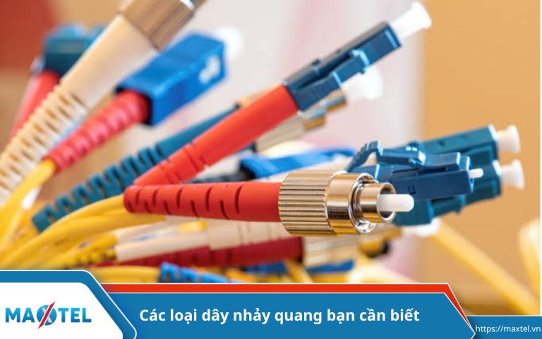Các loại dây nhảy quang bạn cần biết