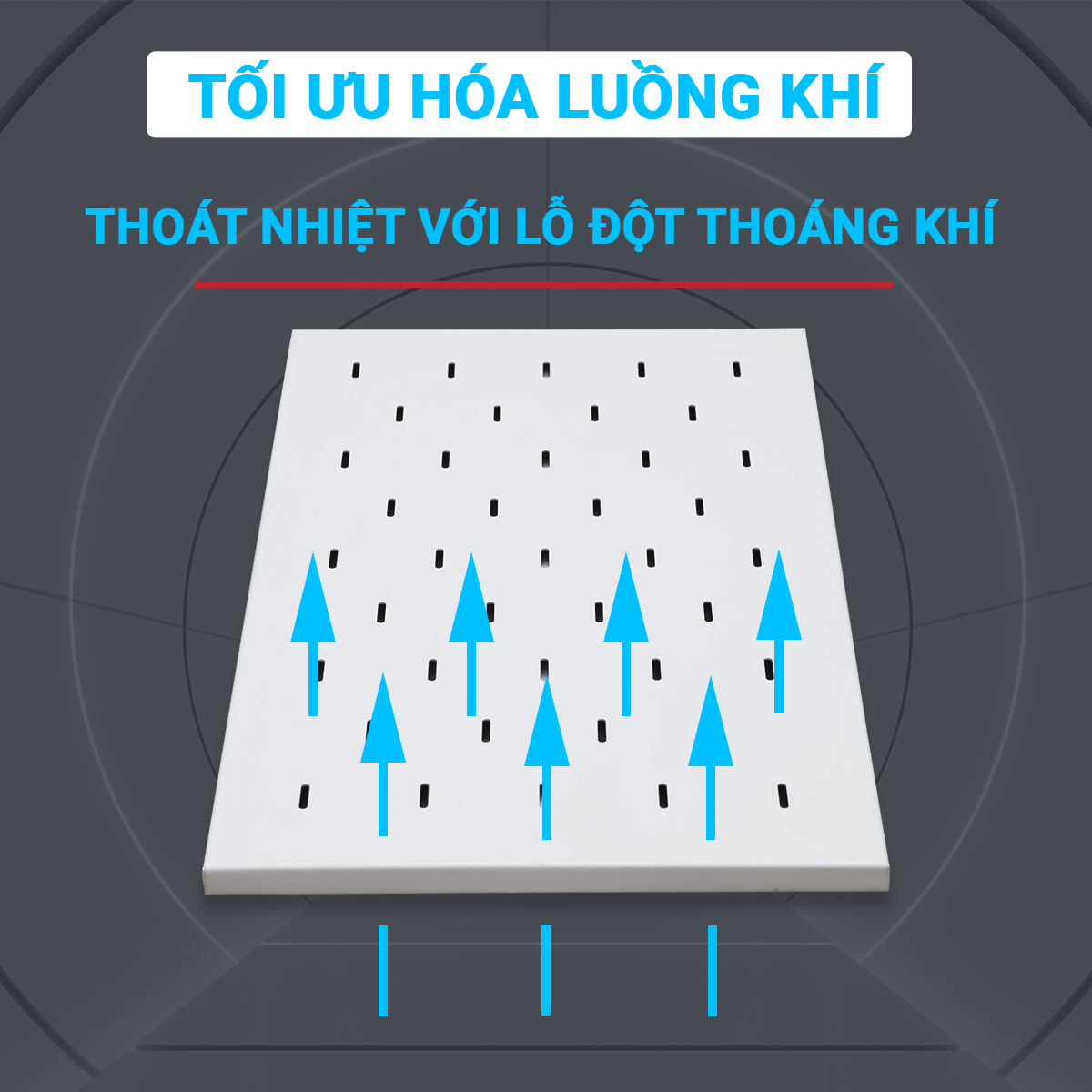 Khay cố định tủ rack Maxtel