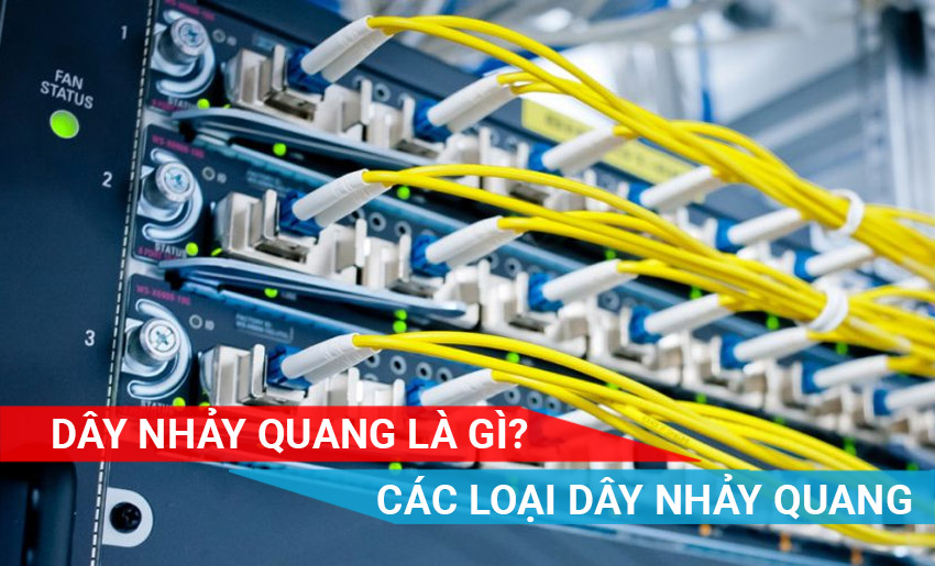 Dây nhảy quang là gì? Các loại dây nhảy quang thông dụng