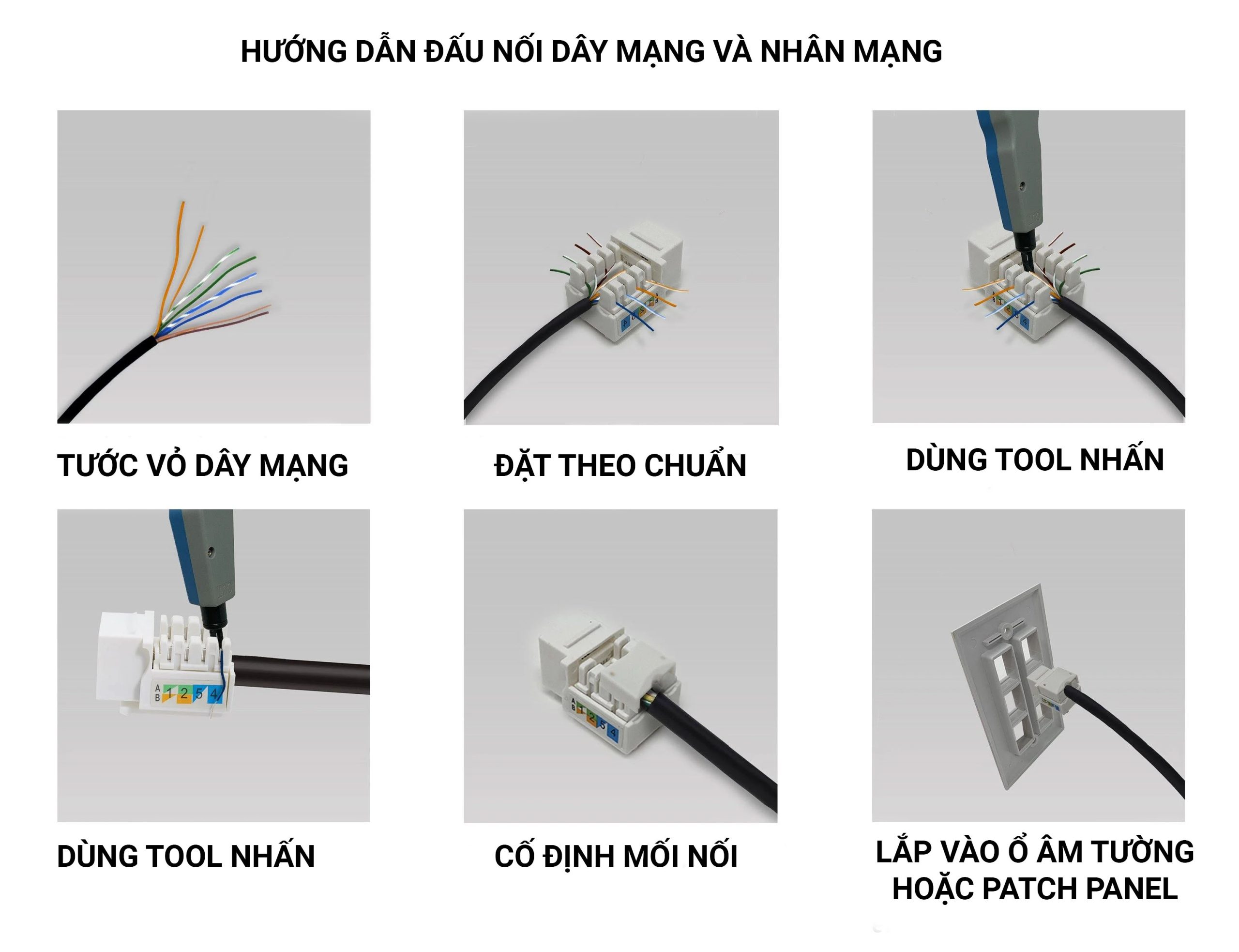 các bước đấu nhân mạng vào cáp mạng