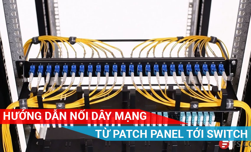 Hướng dẫn nối dây từ Patch Panel đến Switch trong tủ Rack