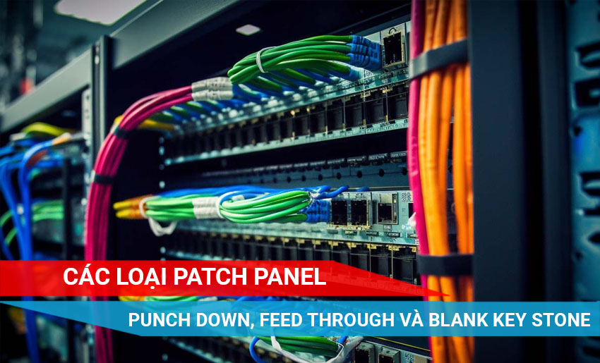 Phân biệt 3 loại Patch Panel: Punch Down, Feed Through và Blank Keystone