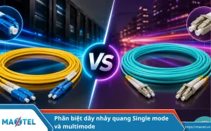 phân biệt dây nhảy quang singlemode và multimode