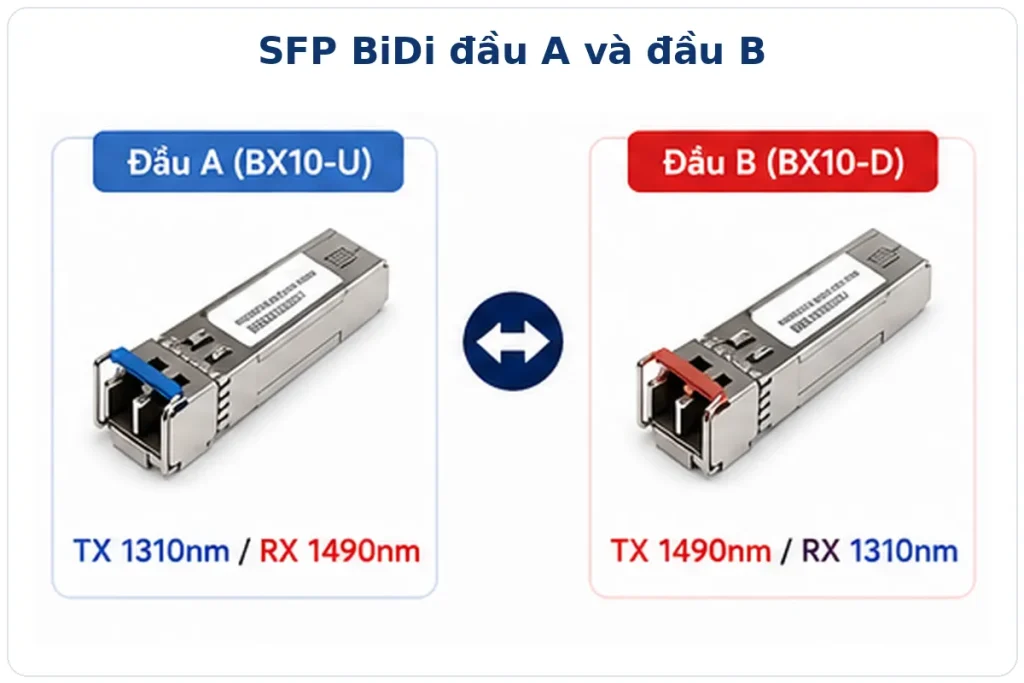 SFP BiDi đầu A và đầu B