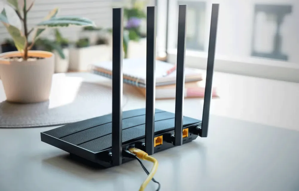 Router 4 râu thì để râu thế nào