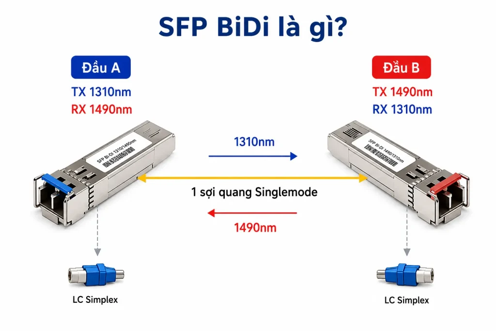 SFP BIDI là gì
