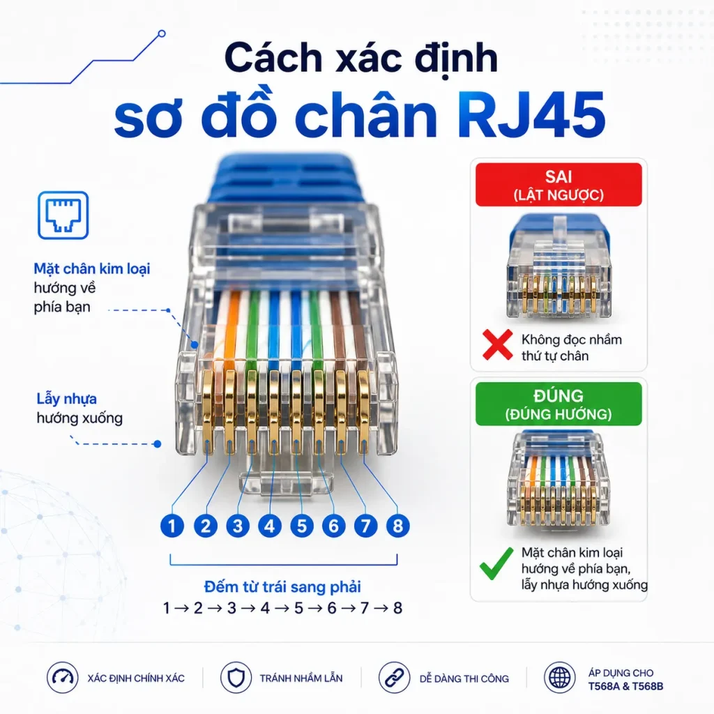 cong-RJ45